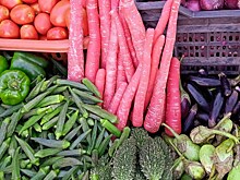 Чат-бот с ИИ в Telegram найдёт испорченные фрукты и овощи на складах «ВкусВилл»