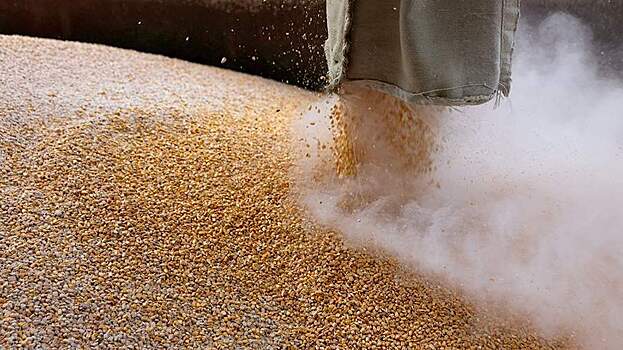Турция сообщила о прогрессе в вывозе украинского зерна