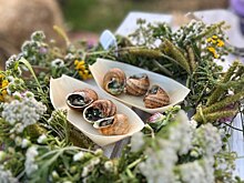 Минсельхоз предложил аграриям присмотреться к улиткам