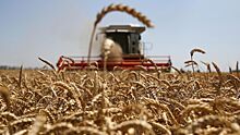 Литва вновь начала покупать российское зерно