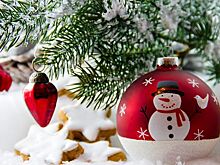 Какие елки популярны на Новый год в Болотнинском районе