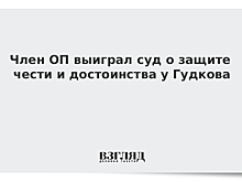 Член ОП выиграл суд о защите чести и достоинства у Гудкова