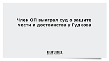 Член ОП выиграл суд о защите чести и достоинства у Гудкова