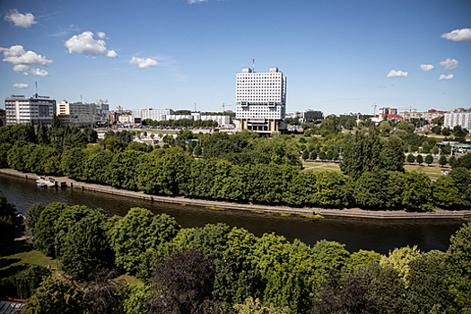 Калининградские биологи рассказали, чем этим летом болеют деревья в регионе