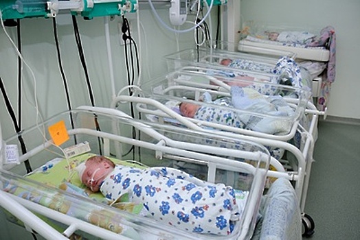 Рождаемость в Подмосковье может вырасти на 9% за полугодие