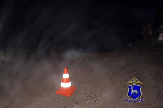 Под Самарой не поставленный на тормоз автомобиль наехал на водителя и оказался в реке