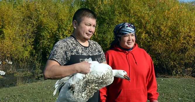 Двадцать южноуральских аграриев получат гранты на развитие фермерского дела