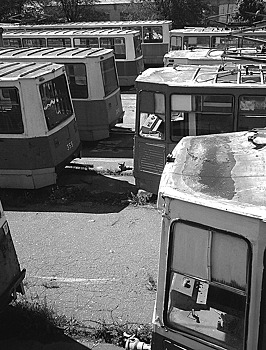 Водители общественного транспорта во Владивостоке оштрафованы на 833 тыс. руб.