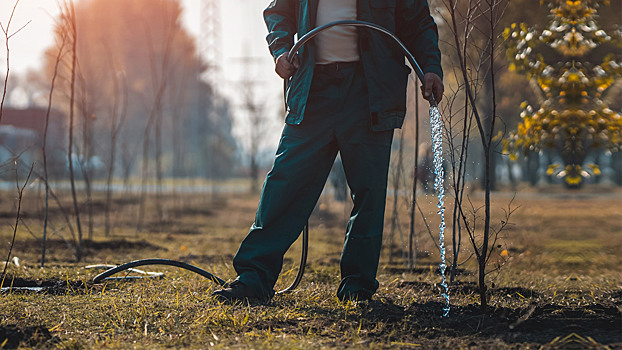 Не надейтесь на дождь: почему важно полить сад перед морозами