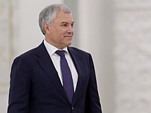 Володин порекомендовал к прочтению книгу Тодда «Поражение Запада»