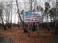 Вышел приказ о запрете прогулок по омским лесам - публикуем этот документ