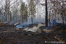 Лесные пожары скорректировали маршруты "Майской прогулки" в Екатеринбурге