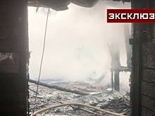 Число сгоревших в московской конюшне лошадей выросло до 19