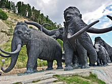 Археопарк — визитная карточка столицы Югры