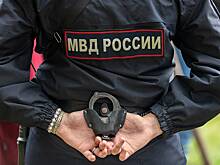 Стало известно о возможном наказании надругавшихся над второклассницей школьников