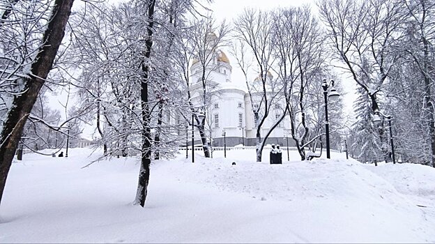 Подготовлен прогноз погоды  в Пензенской области на 25 февраля