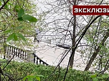 Тело человека выловили из Москвы-реки у Нескучного сада