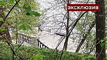 Тело человека выловили из Москвы-реки у Нескучного сада