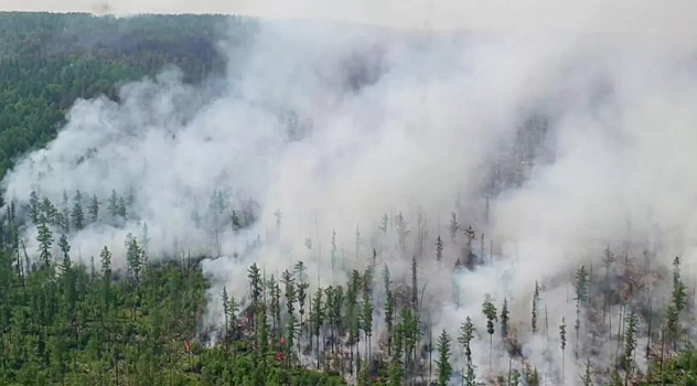 В Красноярском крае выследившим виновников лесных пожаров будут выплачивать вознаграждение