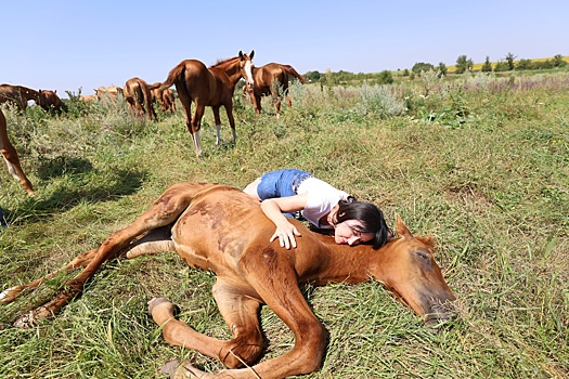 В Ростовской области специально обученные лошади помогут справиться с психологическими проблемами