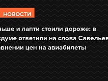 Раньше и лапти стоили дороже: в Госдуме ответили на слова Савельева о сравнении цен на авиабилеты