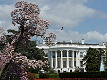 Распад и падение ценностей: что ждет США в 2026 году