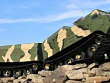 В СССР вездеходы Витязь стали широко использоваться в народном хозяйстве