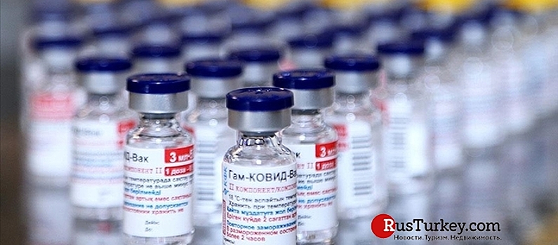 Россия и Турция заключили соглашение о производстве вакцины &laquo;Спутник V&raquo;