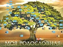 Сибиряк – родственник Ломоносова. Какие тайны может хранить родословная?