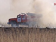 Лесной пожар подобрался к населенным пунктам в Ростовской области
