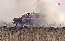 Лесной пожар подобрался к населенным пунктам в Ростовской области