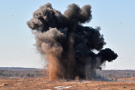 Редкий в ВСУ итальянский колесный БТР Puma уничтожен в ДНР