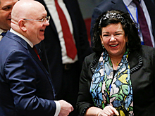 Посол Британии в США: Россия и Китай не должны выйти победителями из пандемии коронавируса