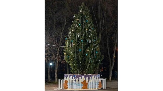 На Соборной площади в Пензе установили живую елку