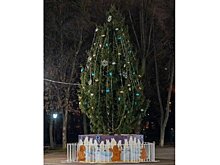 На Соборной площади в Пензе установили живую елку