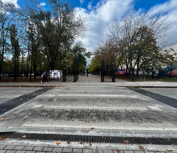 В Ростове по поручению Александра Скрябина оборудовали пешеходный переход