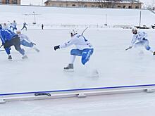 Мини-турнир для любителей хоккея с мячом состоится в Вологде в эти выходные