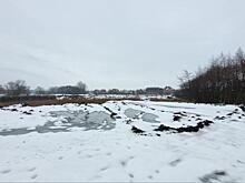 В Курске ведётся расследование по факту незаконной свалки у проспекта Булатова