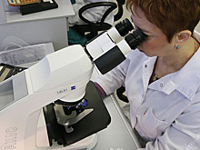 Ученые смогли определить структуру вируса астмы