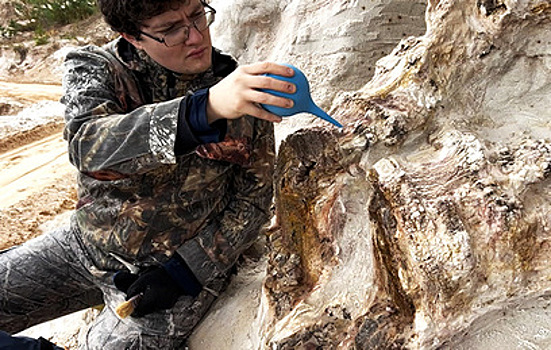 Палеонтологи Петербурга приступили к изучению "находки века" - она вдвое старше динозавров