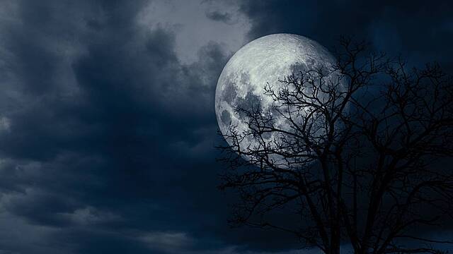 Лунный календарь на декабрь 2025 года: фазы Луны, удачные и неблагоприятные дни