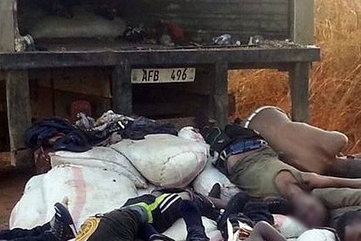 В Замбии 15 человек задохнулись в грузовике с фасолью и арахисом