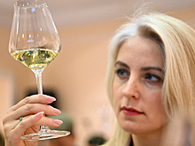 Правда ли, что дешевое вино исчезнет из магазинов в России: какое останется