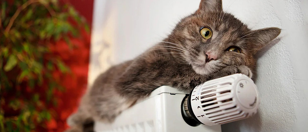 Жителям Ульяновска начали подавать тепло в дома с центральным отоплением