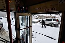 Два необычных пассажира удивили людей в автобусе Владивостока
