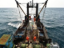 Какие изменения ждут российскую рыбную отрасль