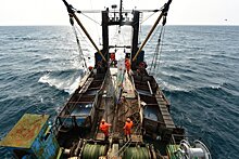 Какие изменения ждут российскую рыбную отрасль