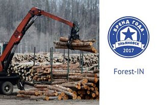 Представляем участника конкурса «Бренд года»: Forest-IN