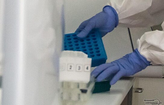 В Челябинской области у 179 человек выявили коронавирус