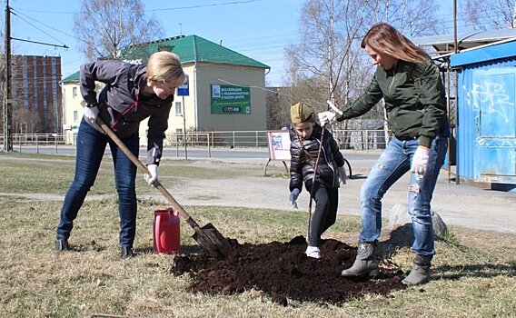 Ирина Мирошник прислушалась и пошла приводить город в порядок